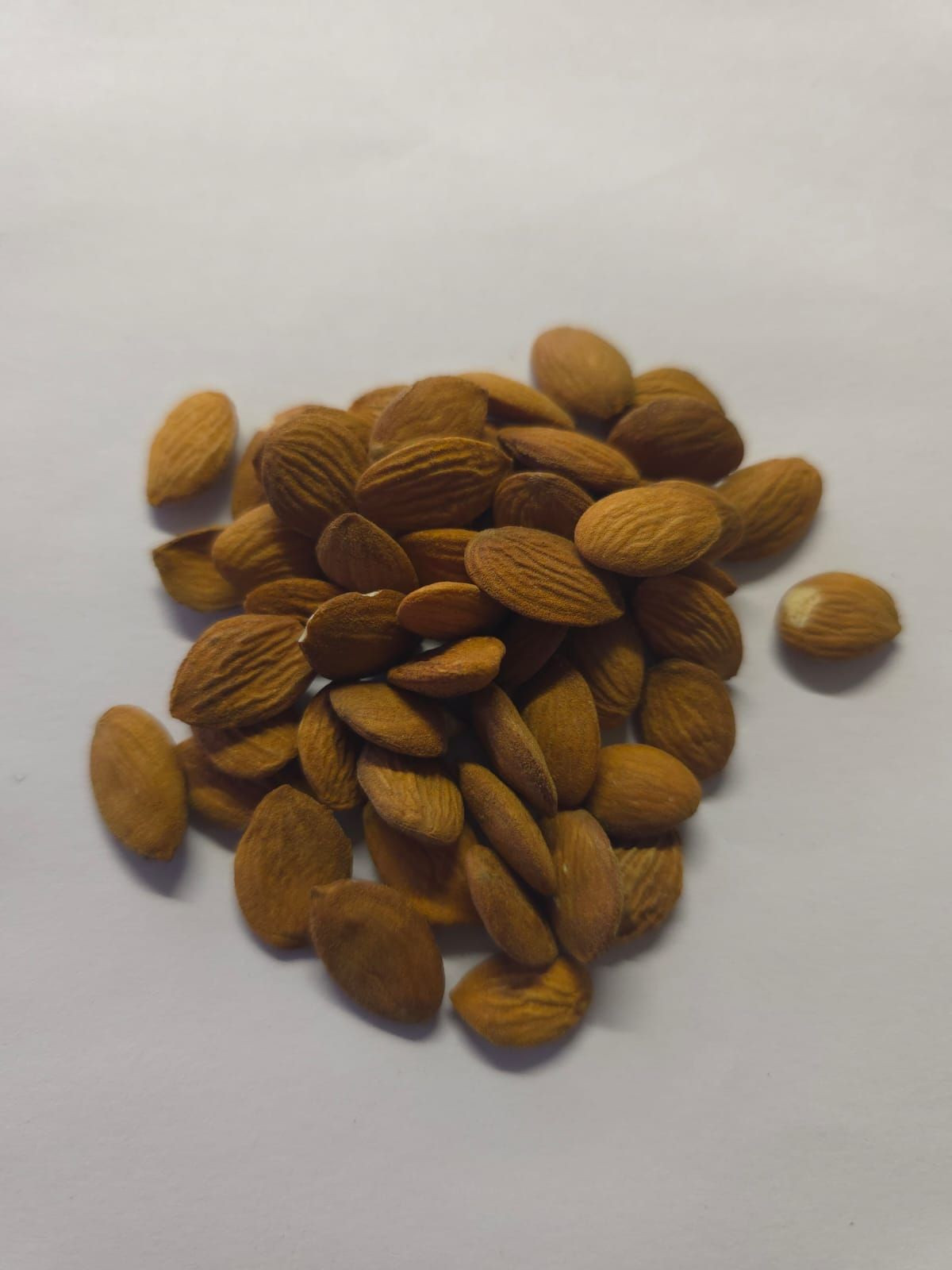 Peach kernels ( Prunus Persica )
